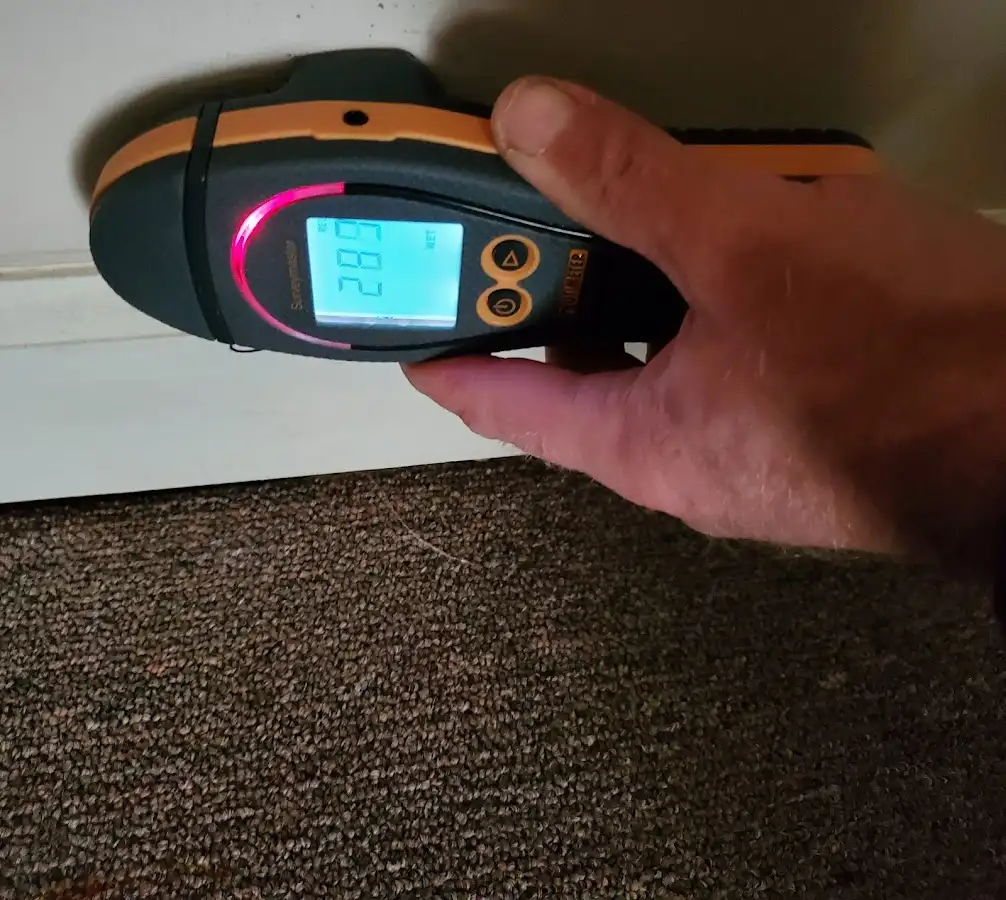 Moisture detection at baseboard during Sewage Cleanup & Sanitation in Castle Pines Village